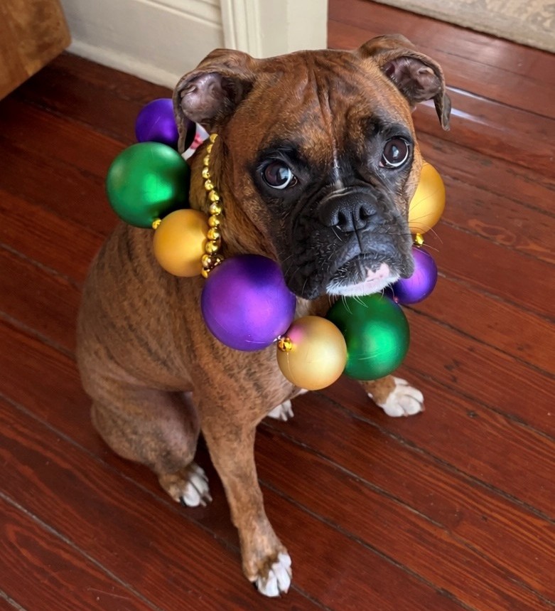 Prada getting ready for Mardi Gras!